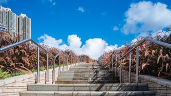 The drooping soft and fluffy flower plumes bordered the steps towards to the top of the walkway.